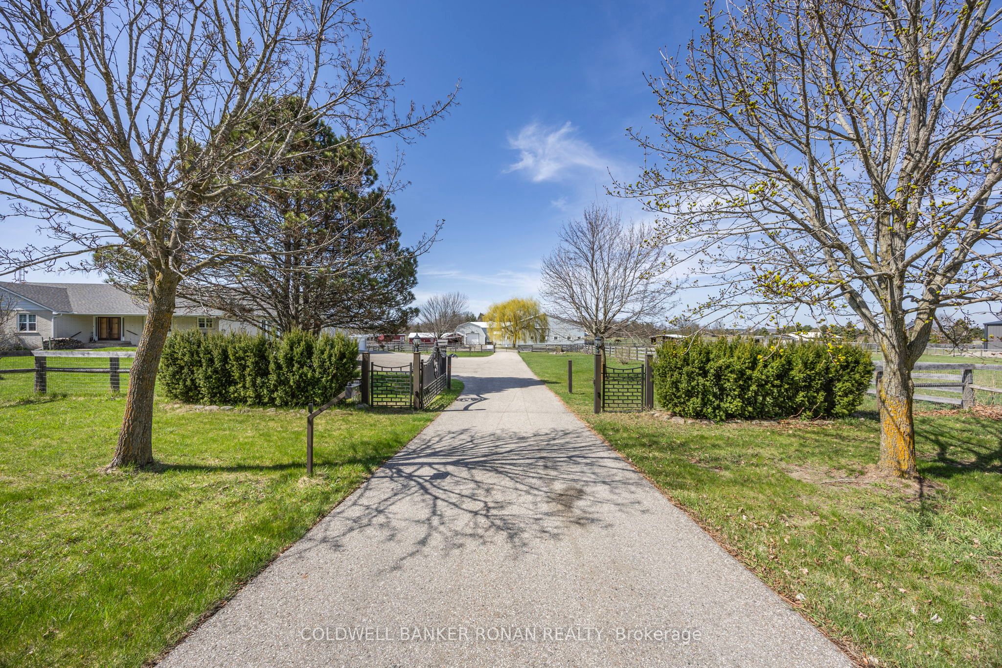 8058 20th Side Road Property Photo 1