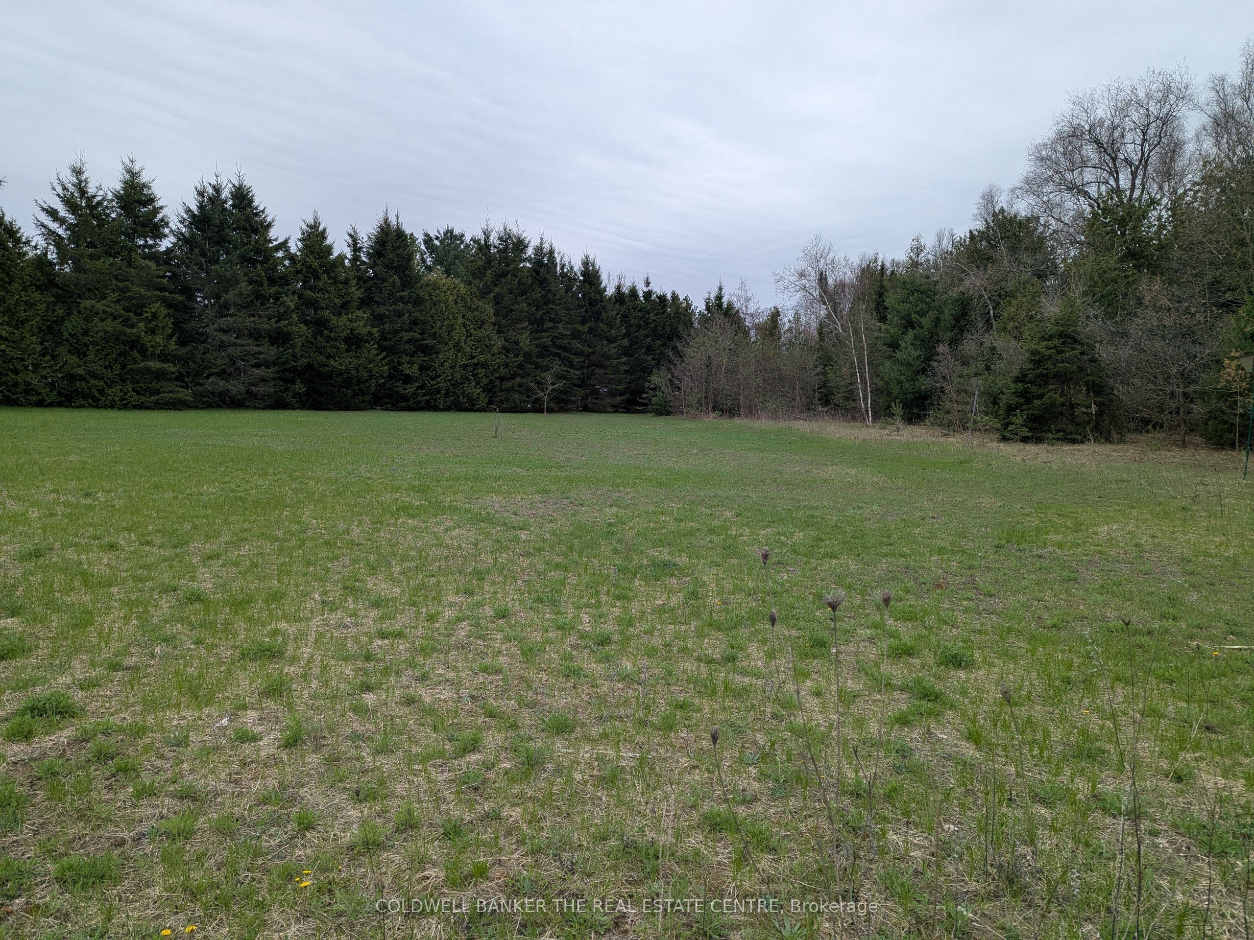 6 Tioga Boulevard Property Photo 2