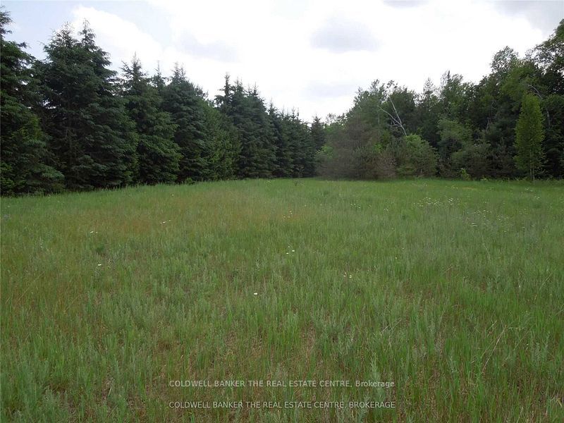 6 Tioga Boulevard Property Photo 3