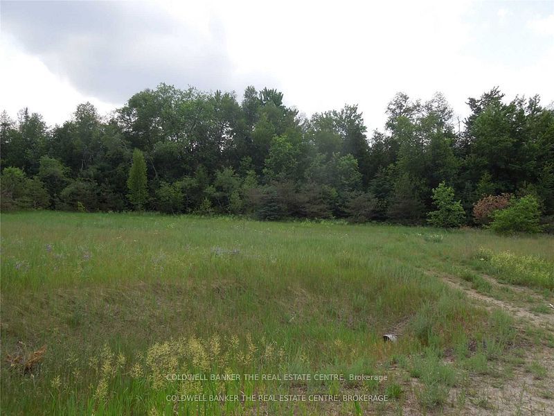 6 Tioga Boulevard Property Photo 5