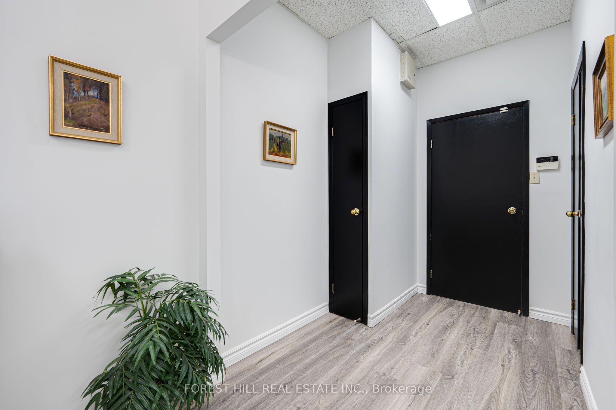64 Jardin Drive 3c Property Photo 6