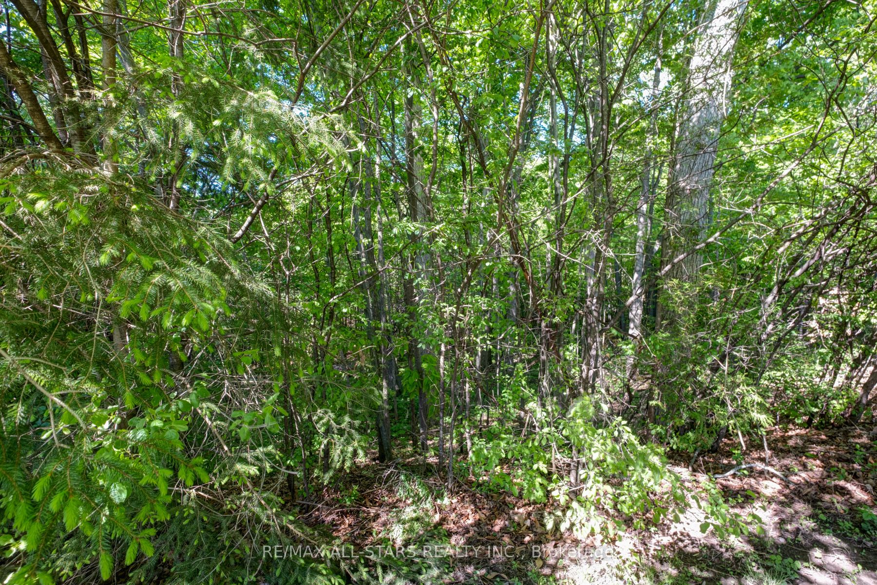 67 Autumn Way Property Photo 33