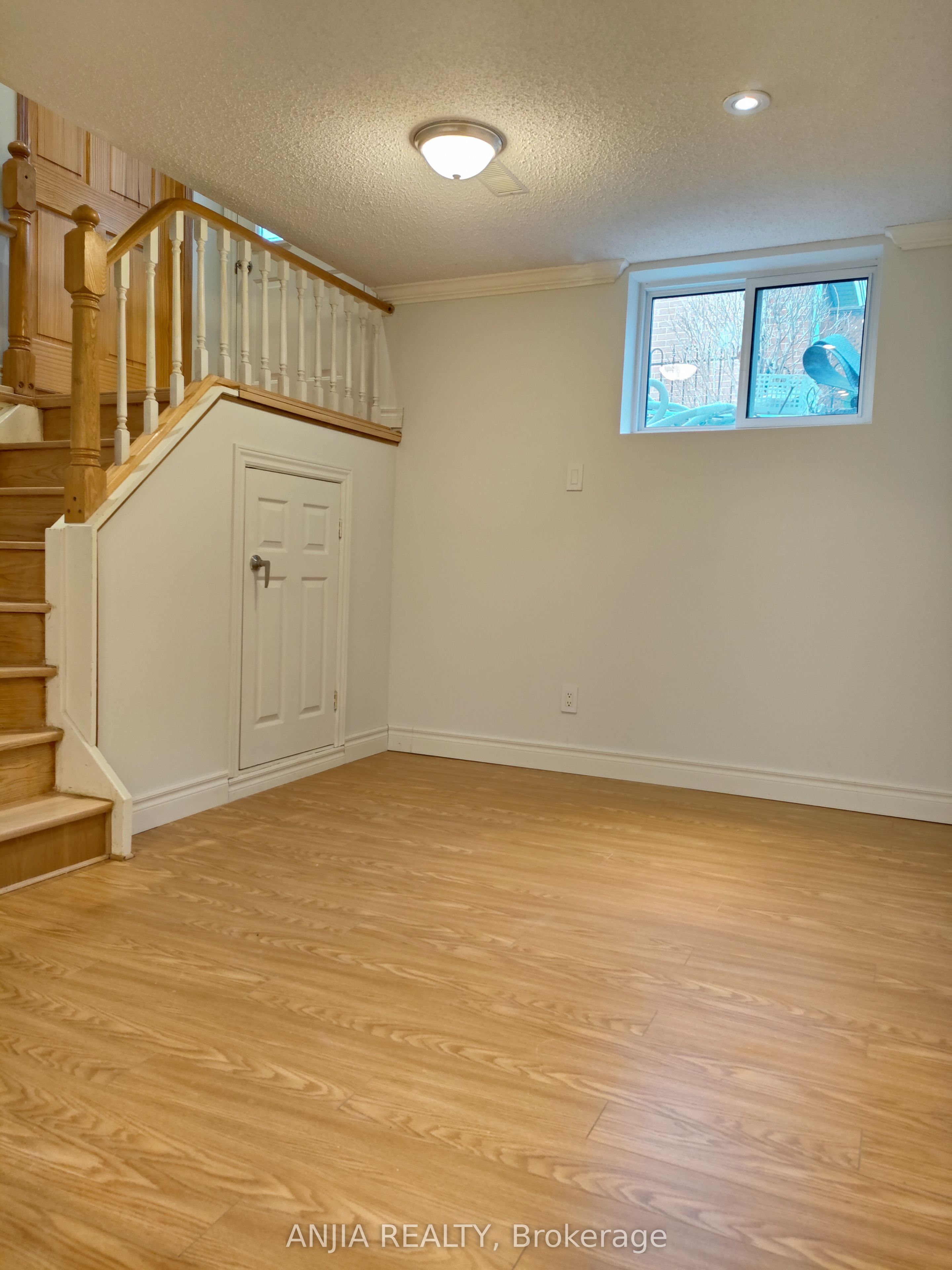 #basement - 4 Southdale Drive Property Photo 4