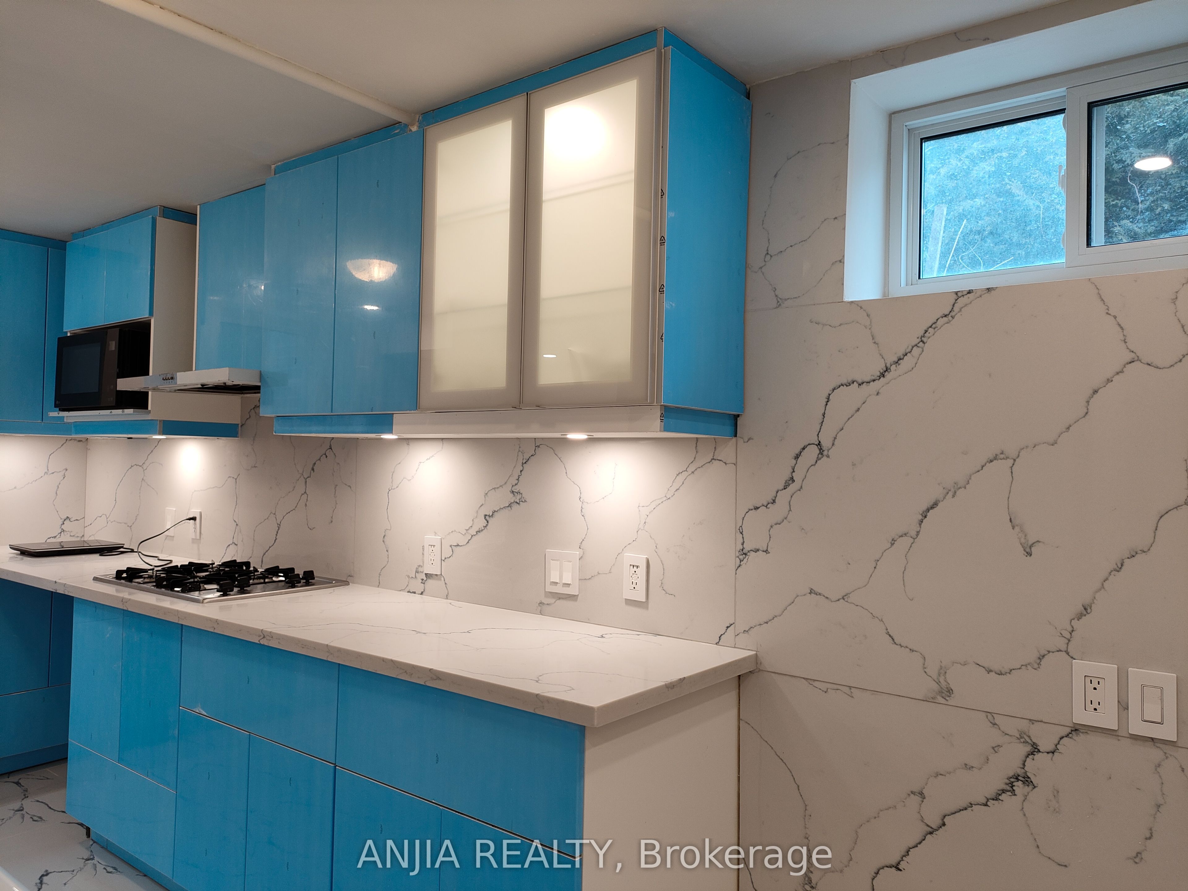 #basement - 4 Southdale Drive Property Photo 11