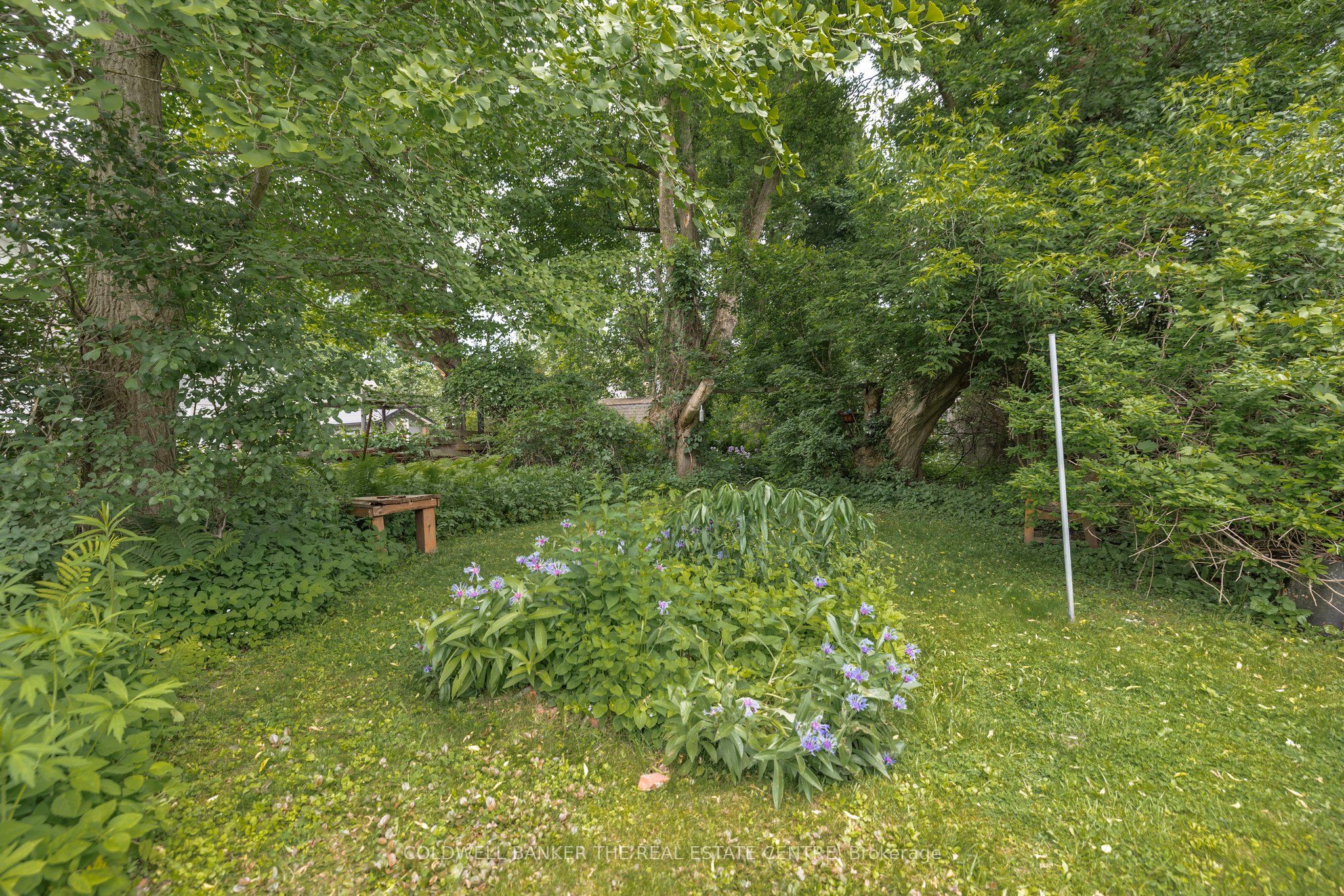 410 Eagle Street Property Photo 27