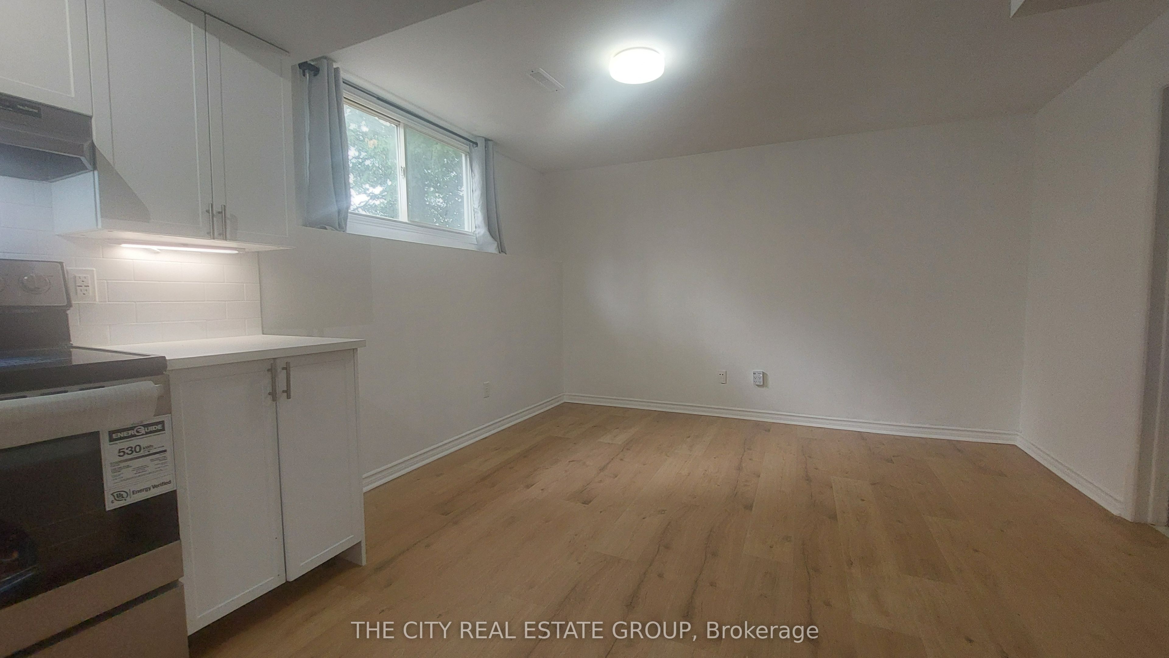 22 Pineway Avenue Bsmt Property Photo 19