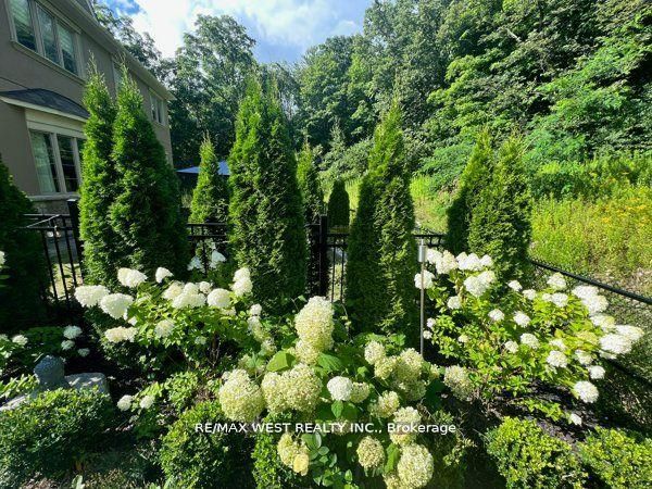 6 Forest Grove Court Property Photo 35