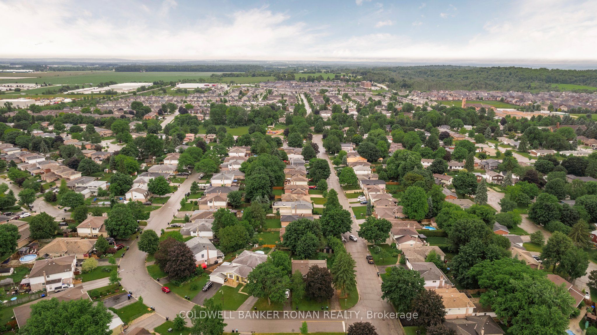 39 Mitchell Avenue Property Photo 41