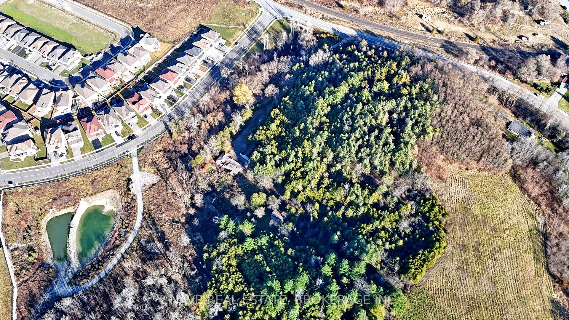 19090 Holland Landing Road Property Photo 9