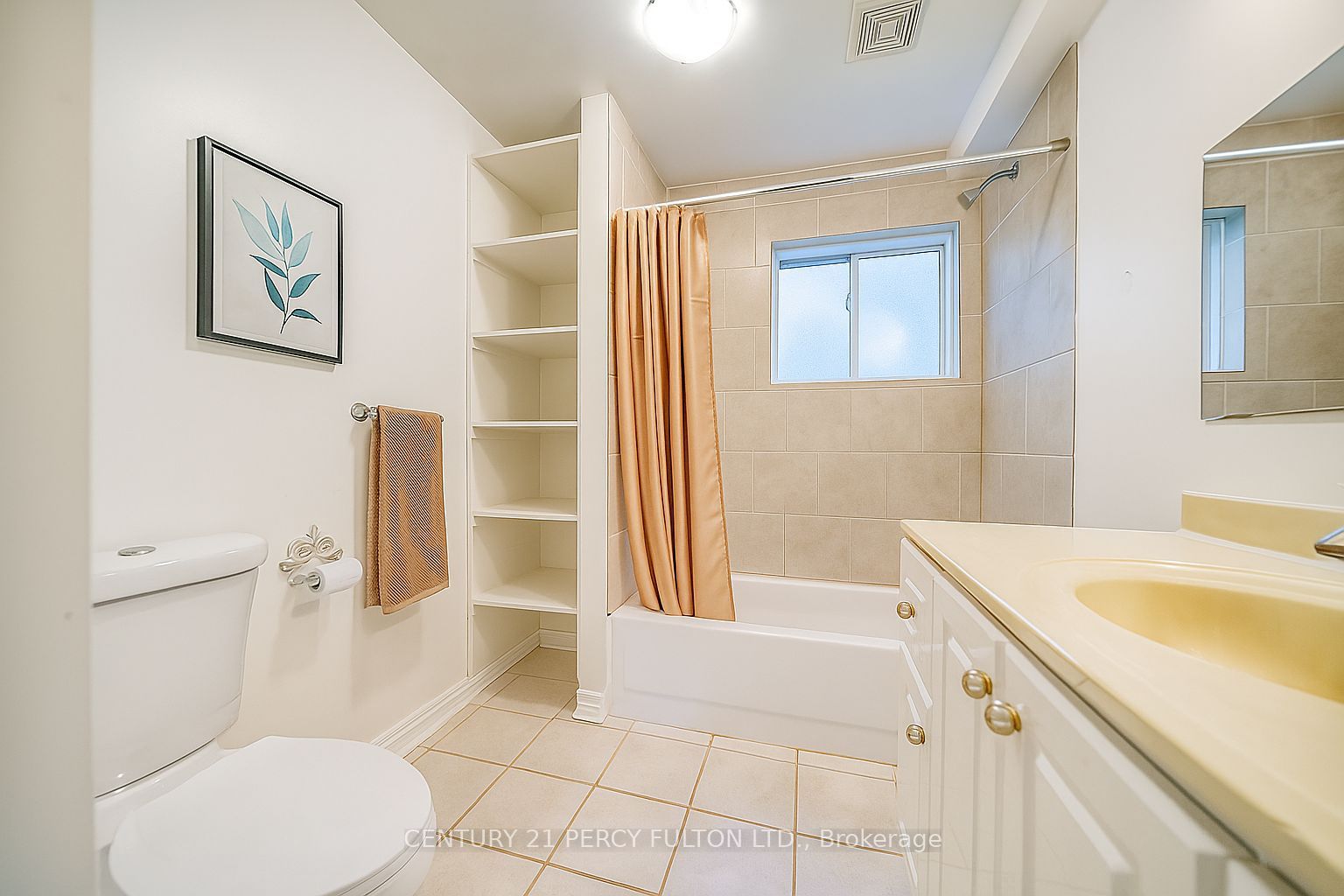 #lower - 744 William Street Property Photo 5