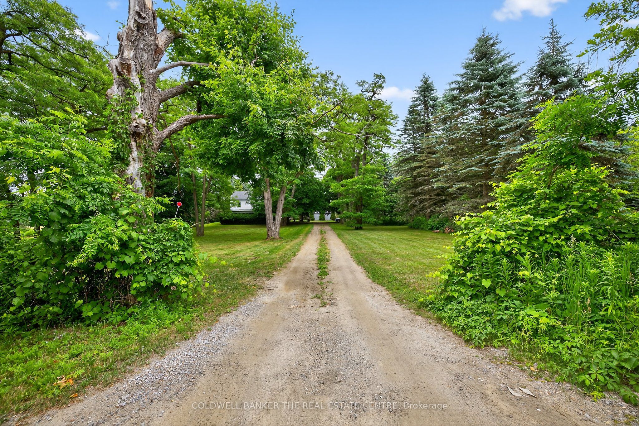 21151 Warden Avenue Property Photo 3