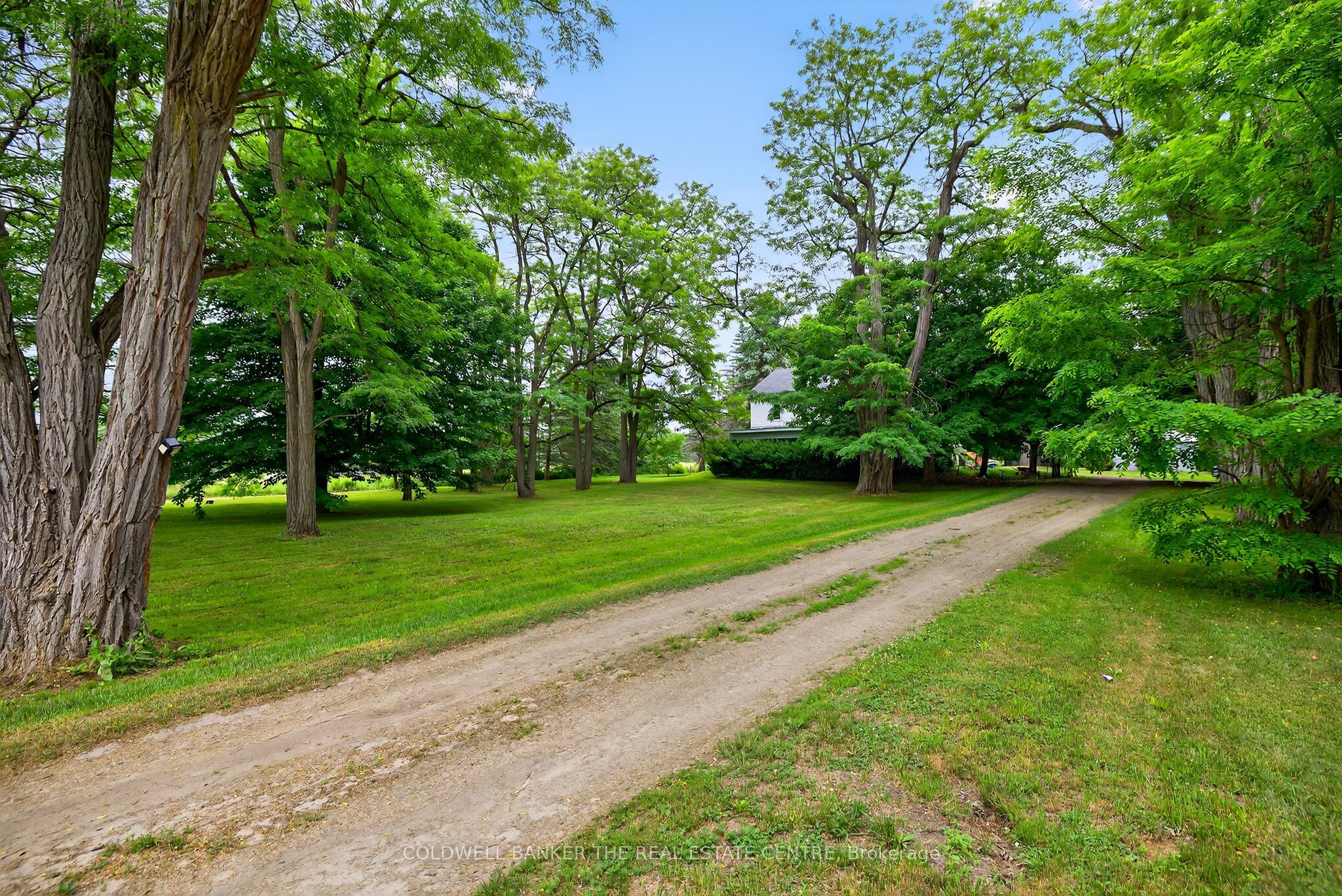 21151 Warden Avenue Property Photo 4