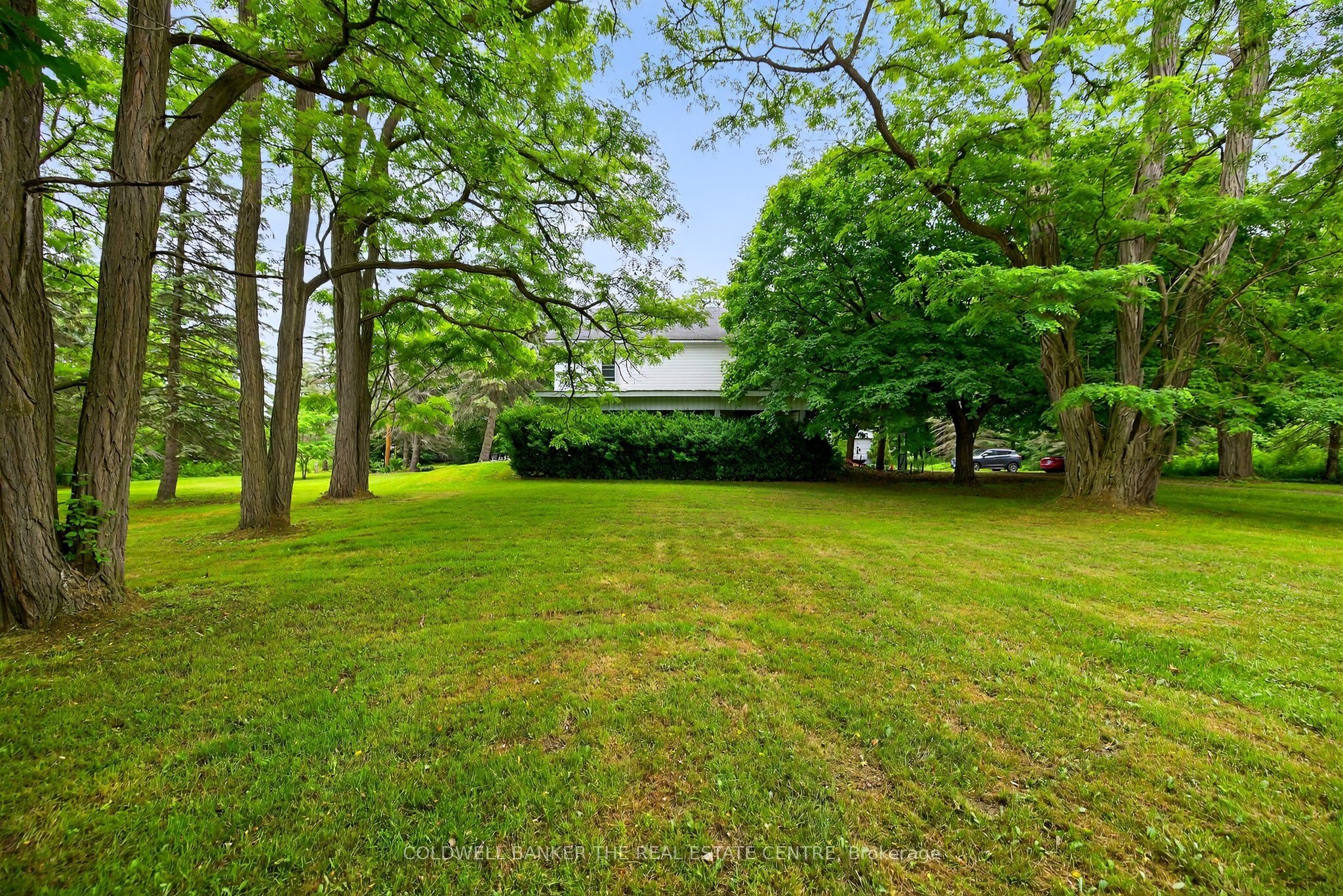 21151 Warden Avenue Property Photo 5