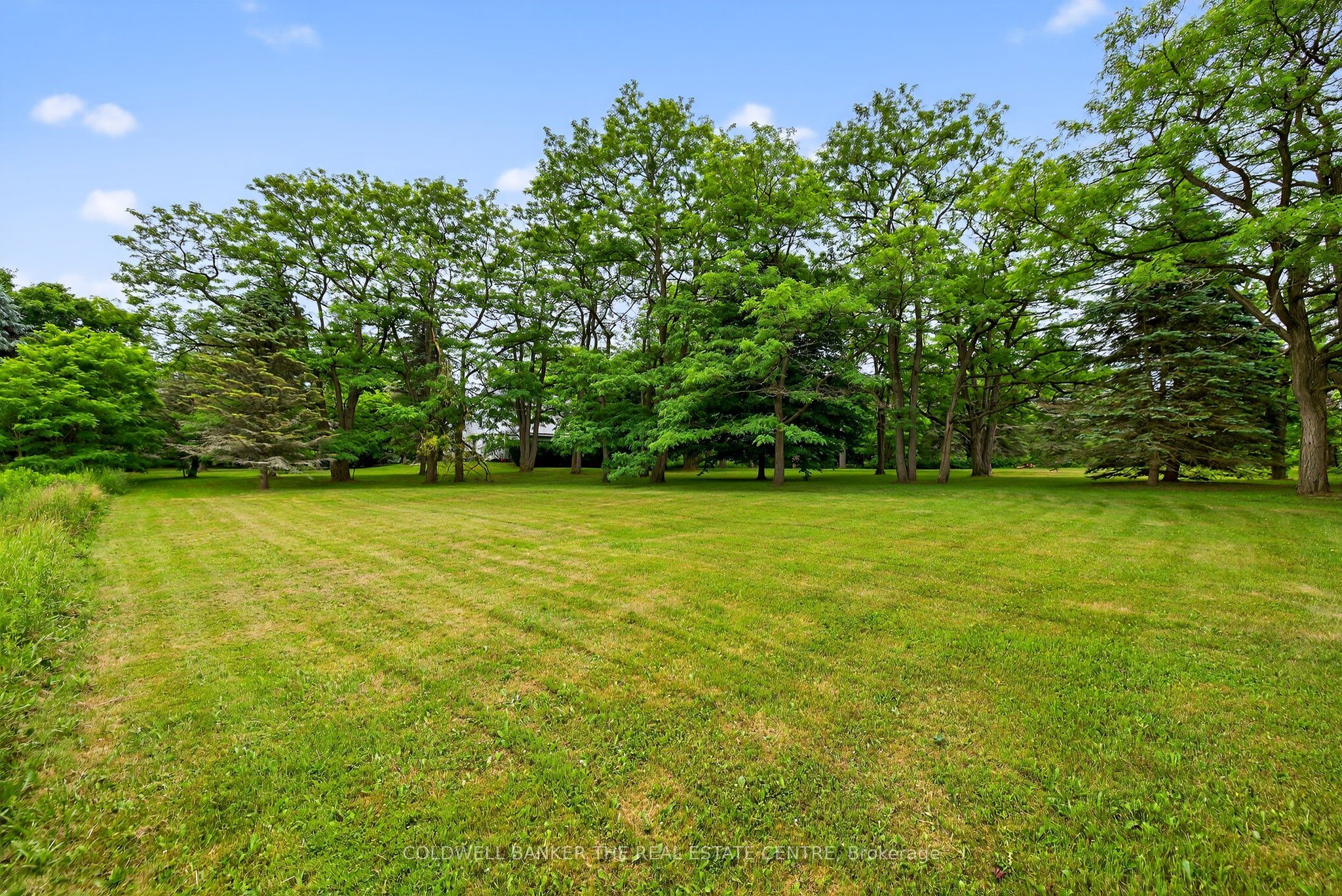 21151 Warden Avenue Property Photo 23