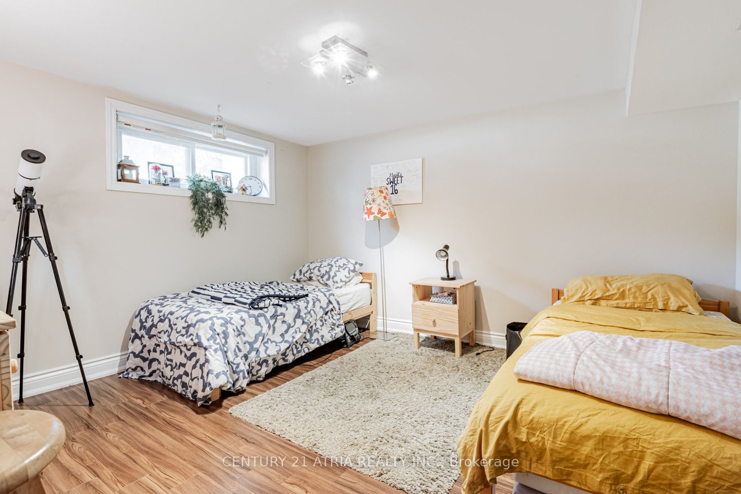 460 Balkan Road Property Photo 26