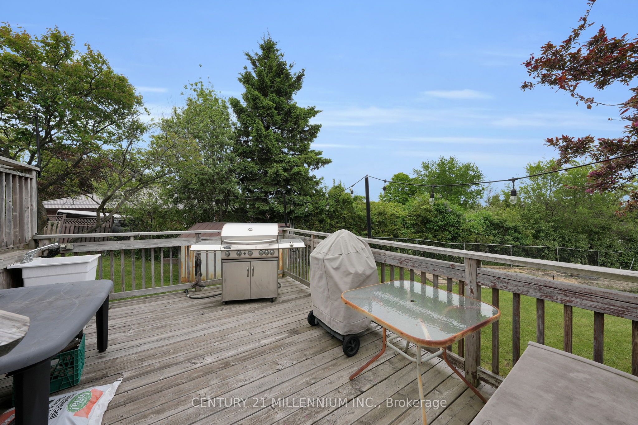 5995 17th Sideroad Property Photo 48