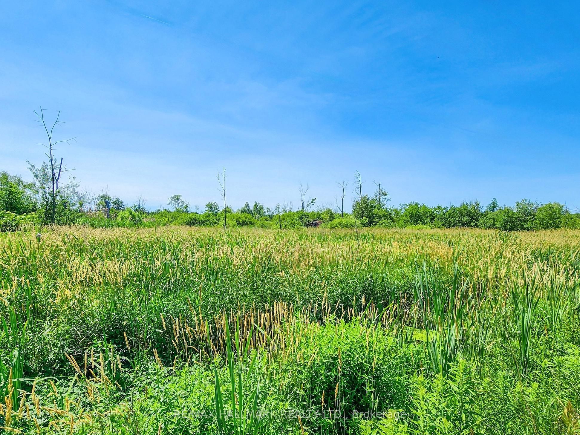 20200 Highway 48 N/a Property Photo