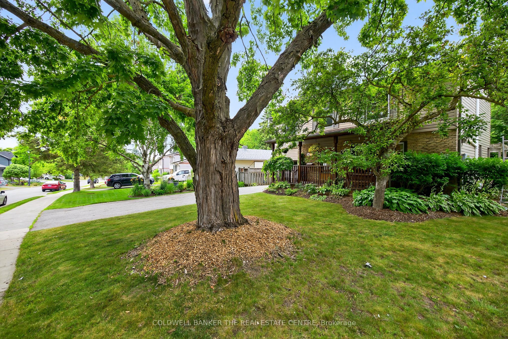 869 Magnolia Avenue Property Photo 3