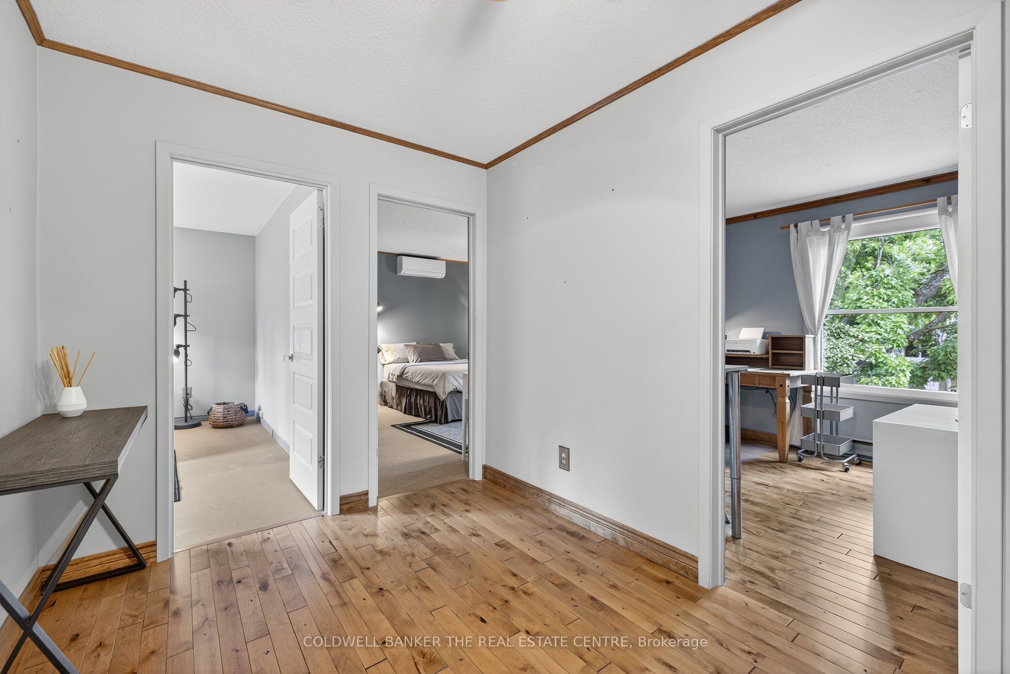 869 Magnolia Avenue Property Photo 16