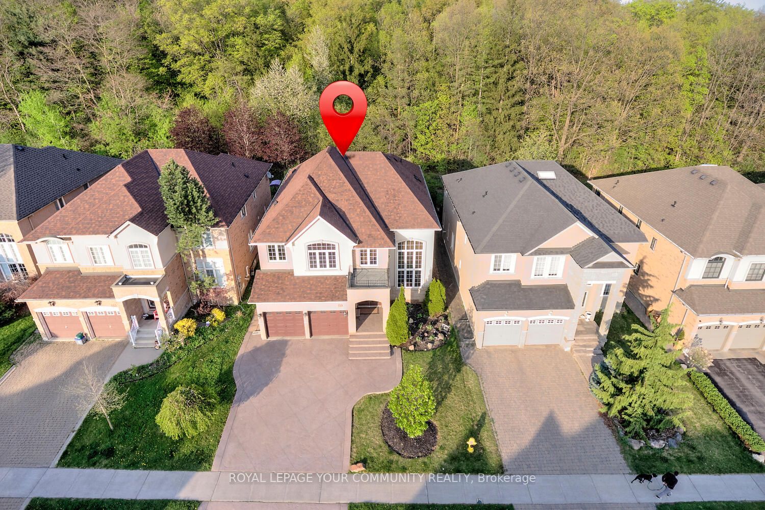 119 Thornhill Woods Drive Property Photo 1