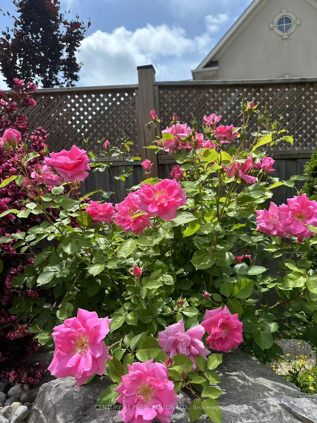 19 Sir Giancarlo Court Property Photo 42