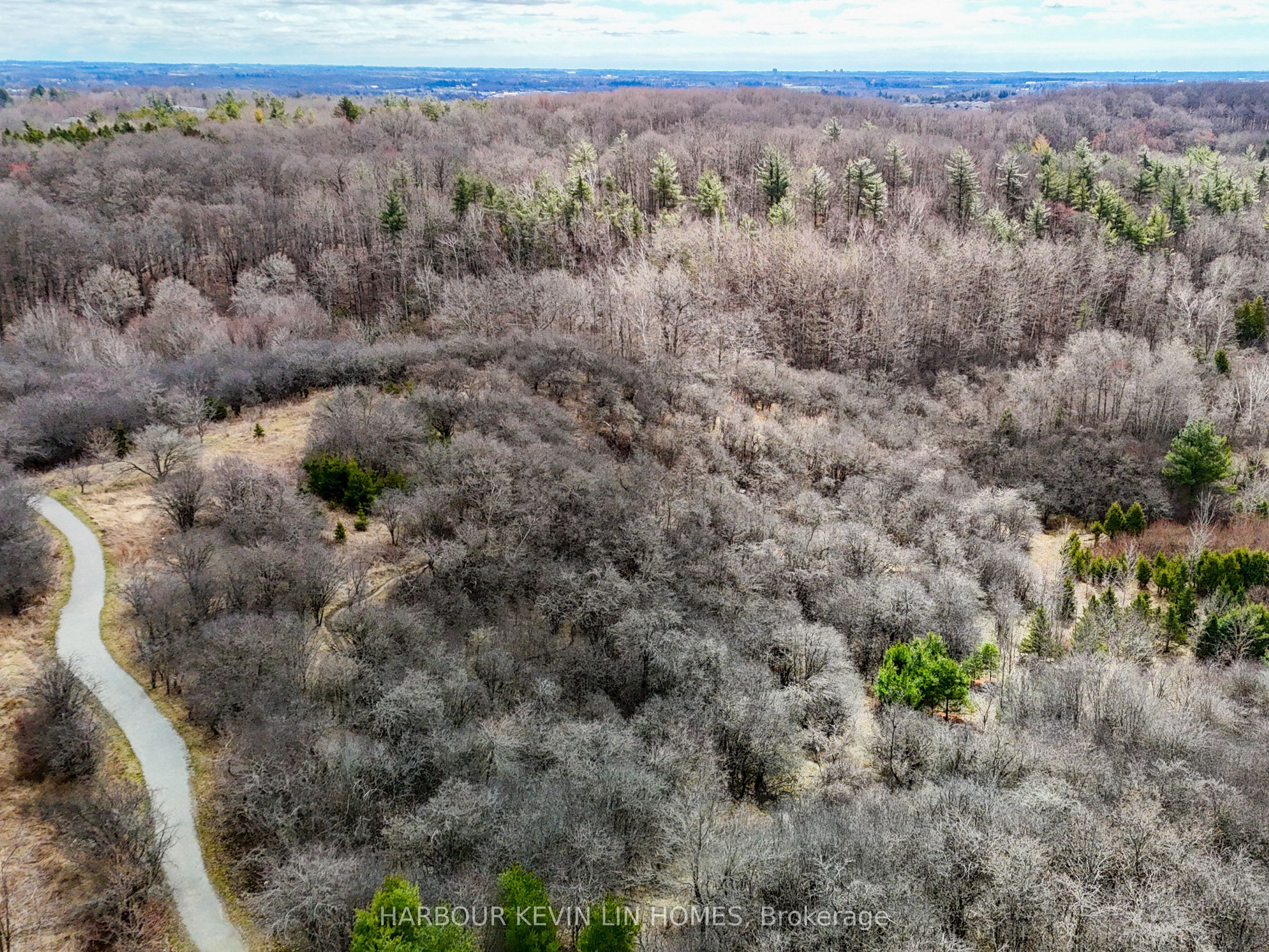 109 Anchusa Drive Property Photo 37