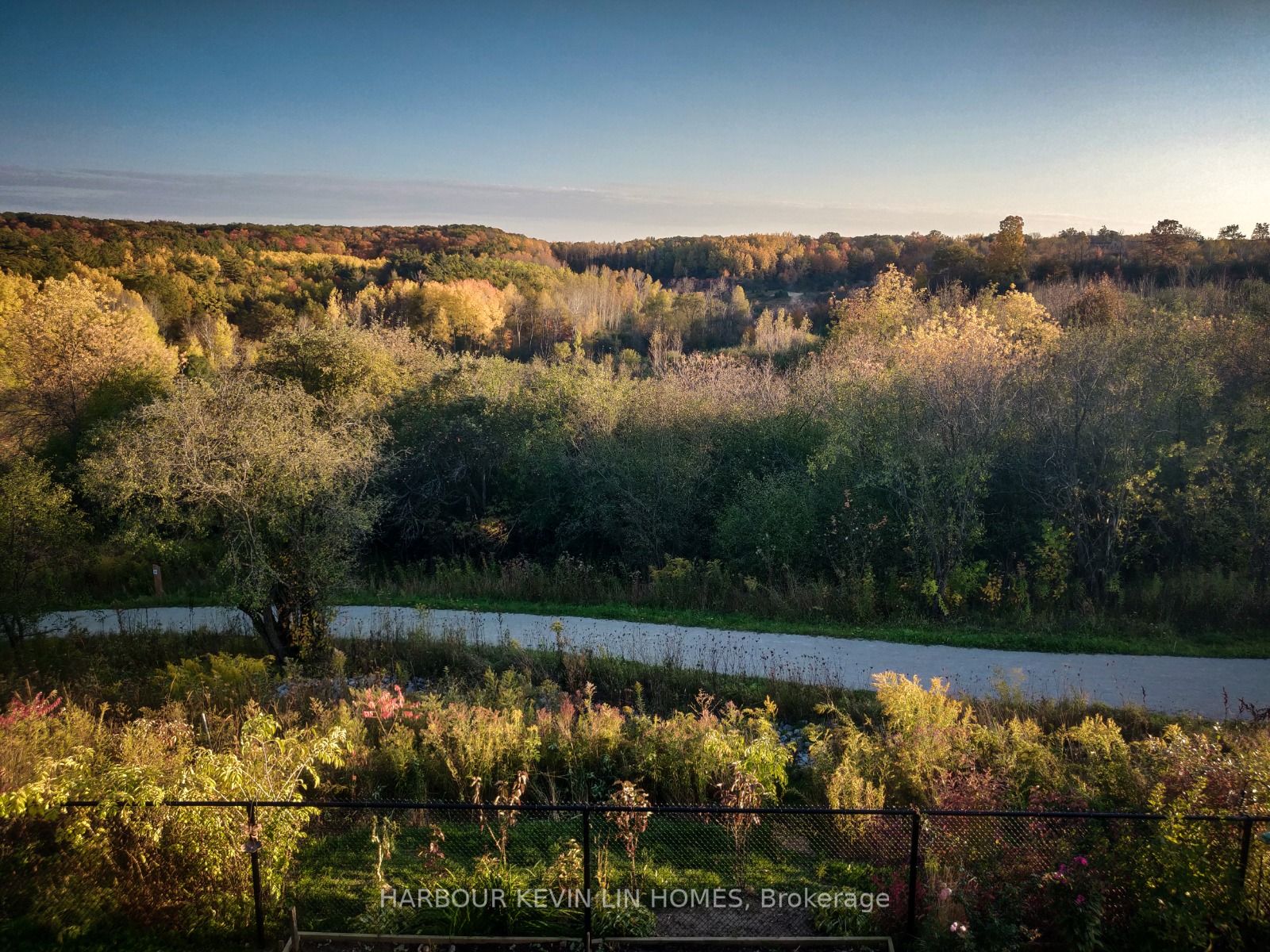 109 Anchusa Drive Property Photo 43