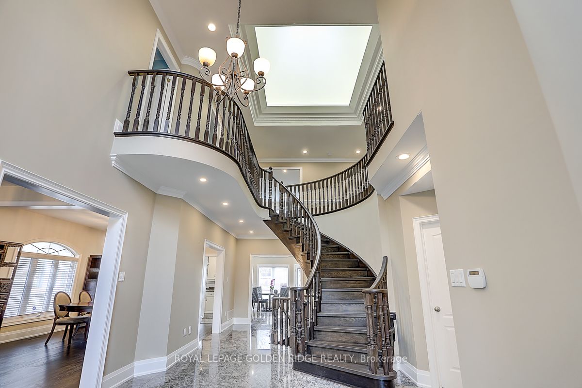 11 Hillsborough Court Property Photo 6