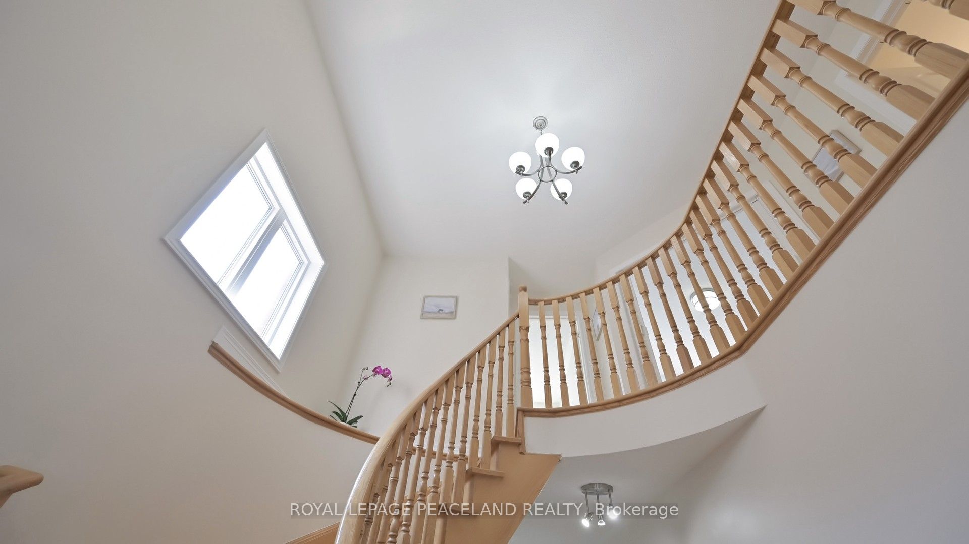 16 Lealinds Road Property Photo 19