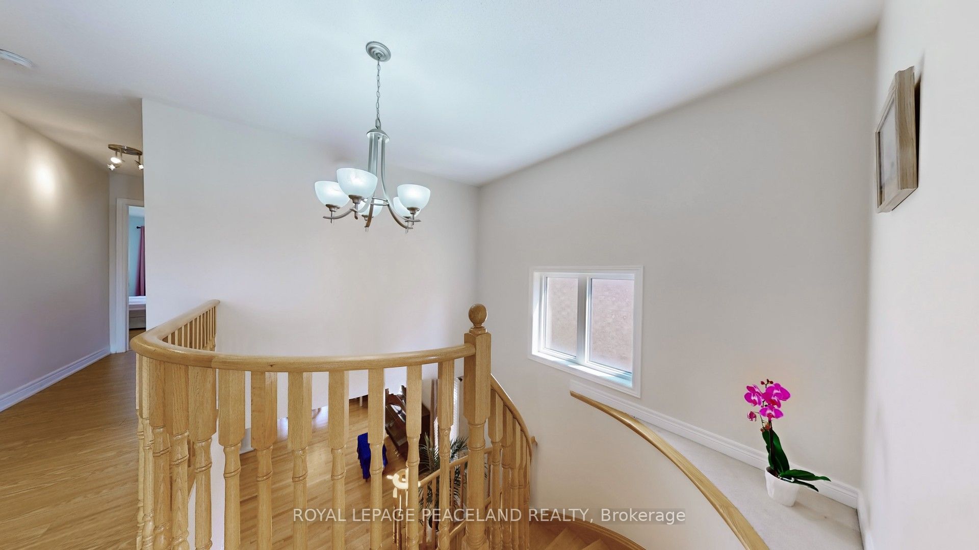 16 Lealinds Road Property Photo 20