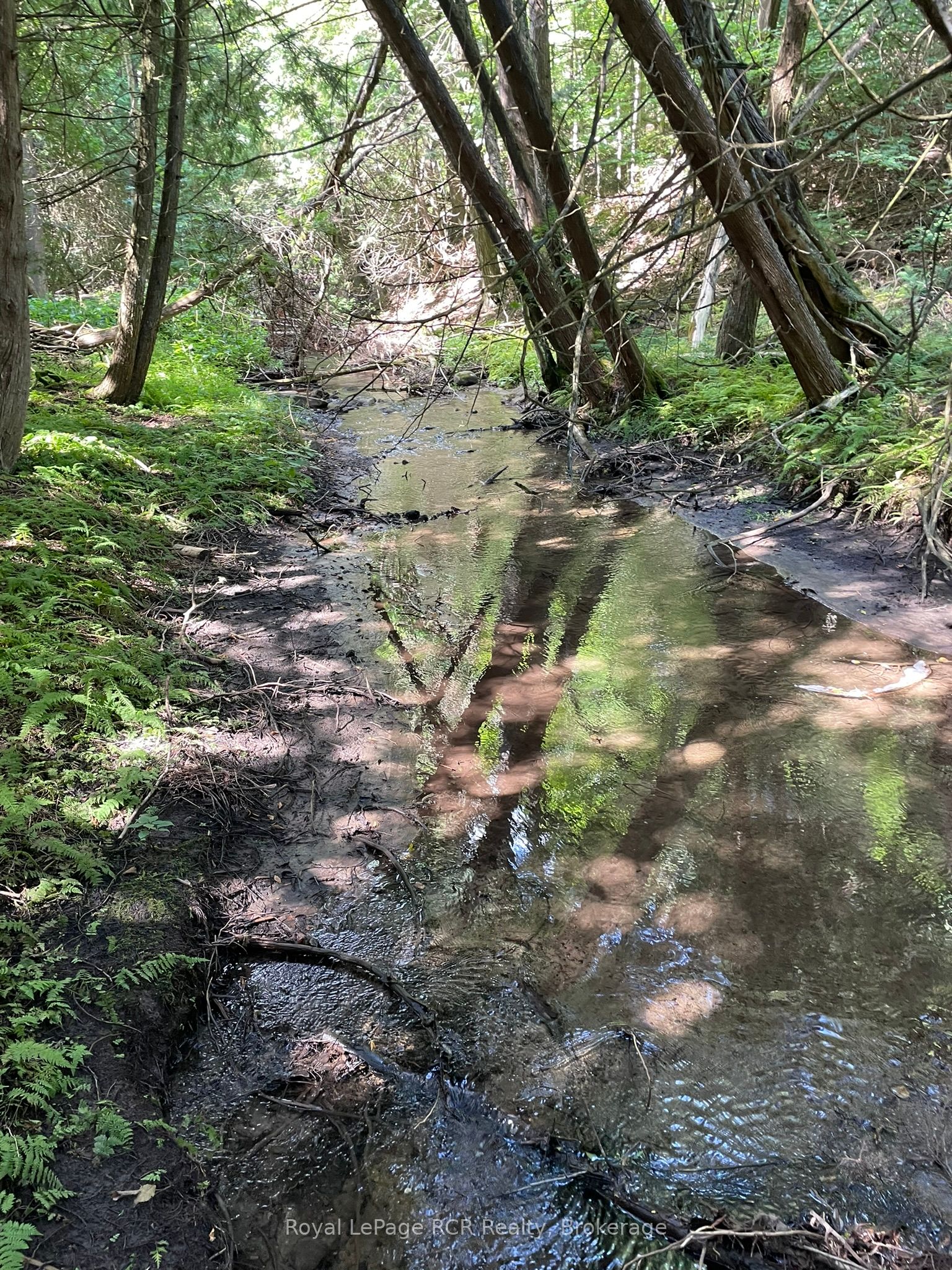 1922 Concession 4 Road Property Photo 5