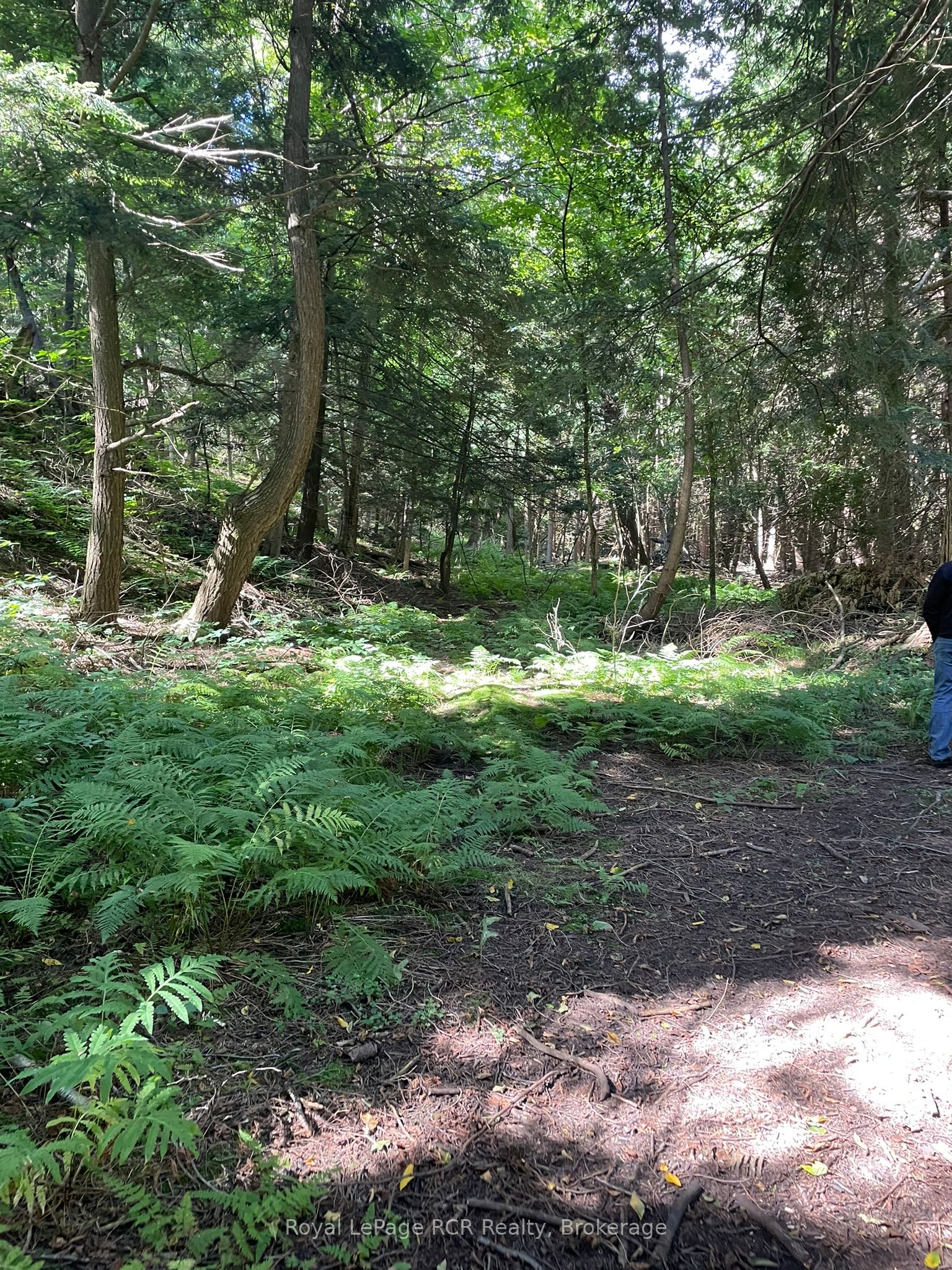 1922 Concession 4 Road Property Photo 6