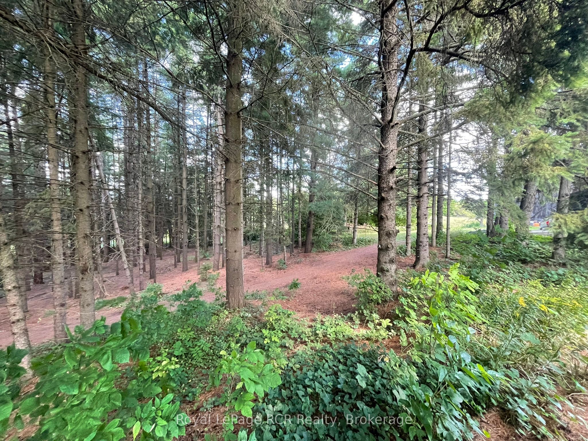 1922 Concession 4 Road Property Photo 32