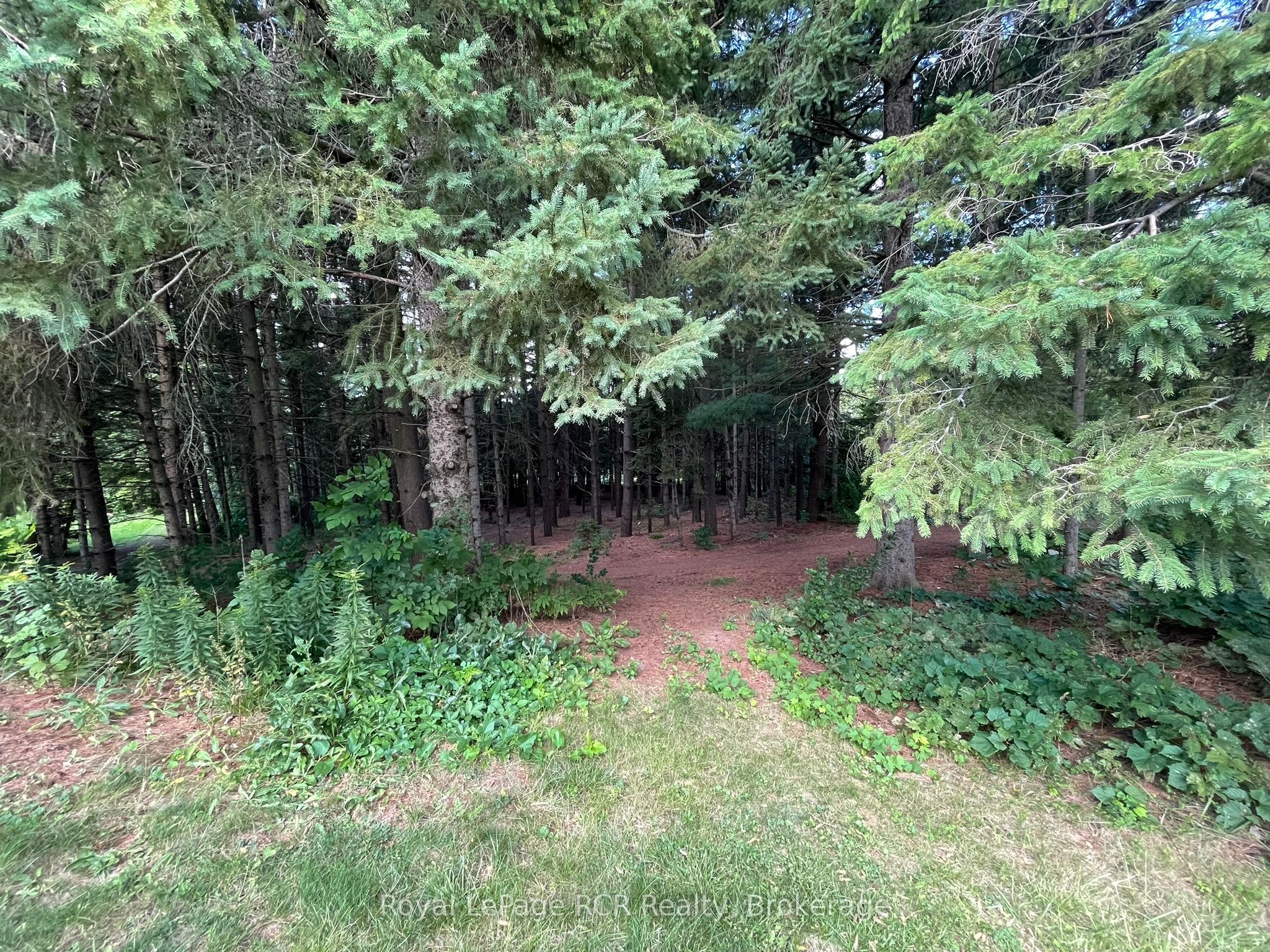 1922 Concession 4 Road Property Photo 33