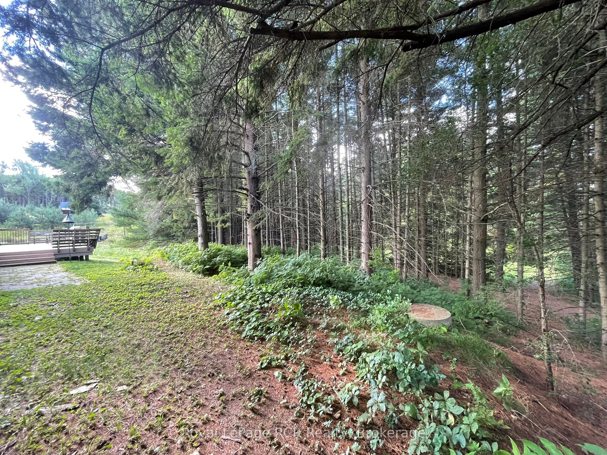 1922 Concession 4 Road Property Photo 34