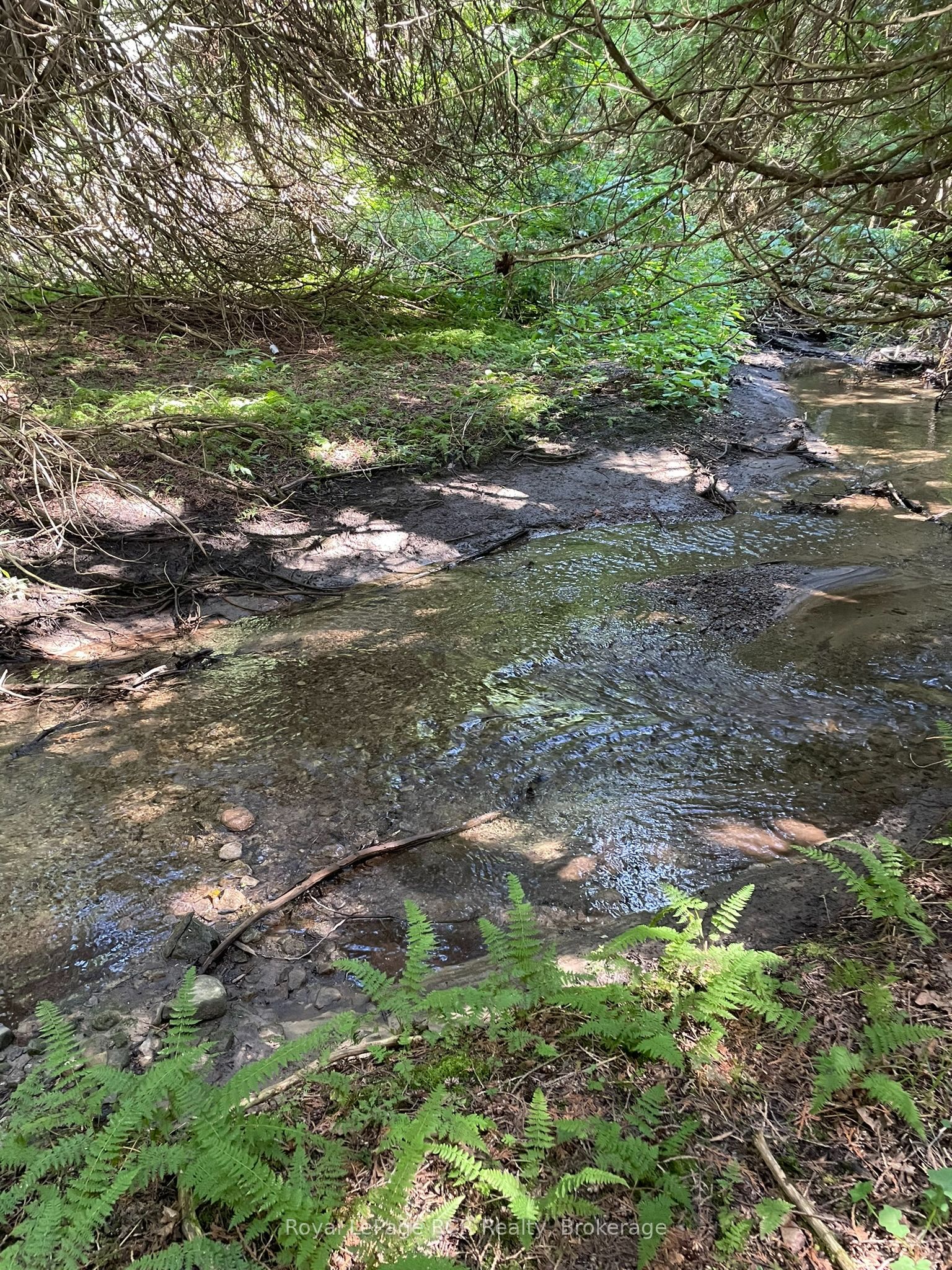 1922 Concession 4 Road Property Photo 39