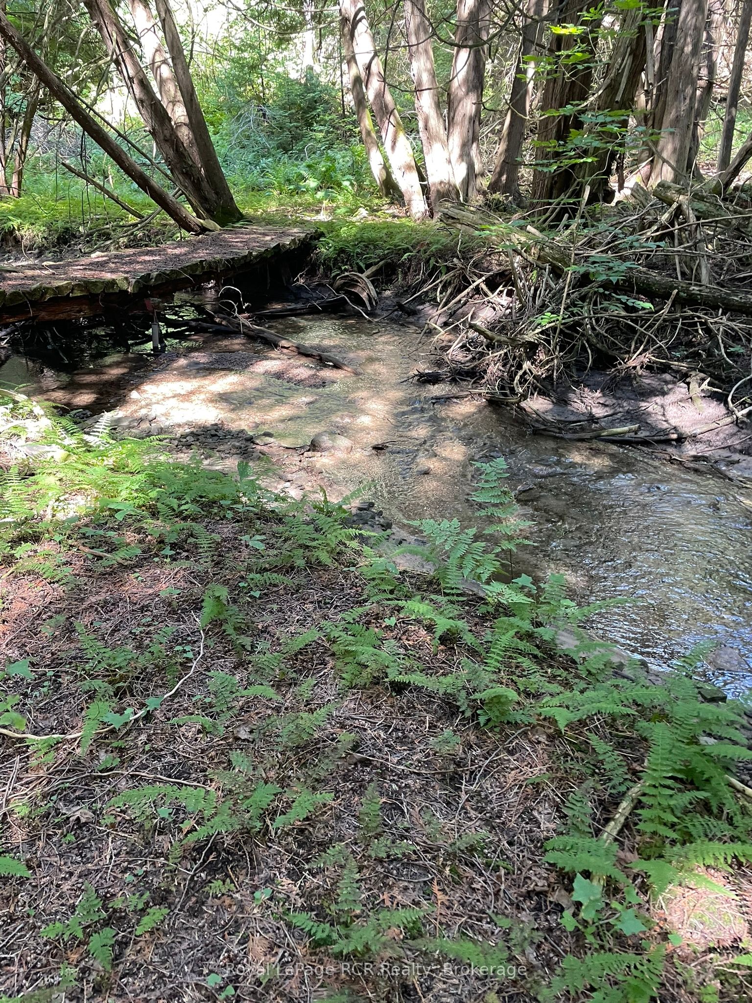 1922 Concession 4 Road Property Photo 40