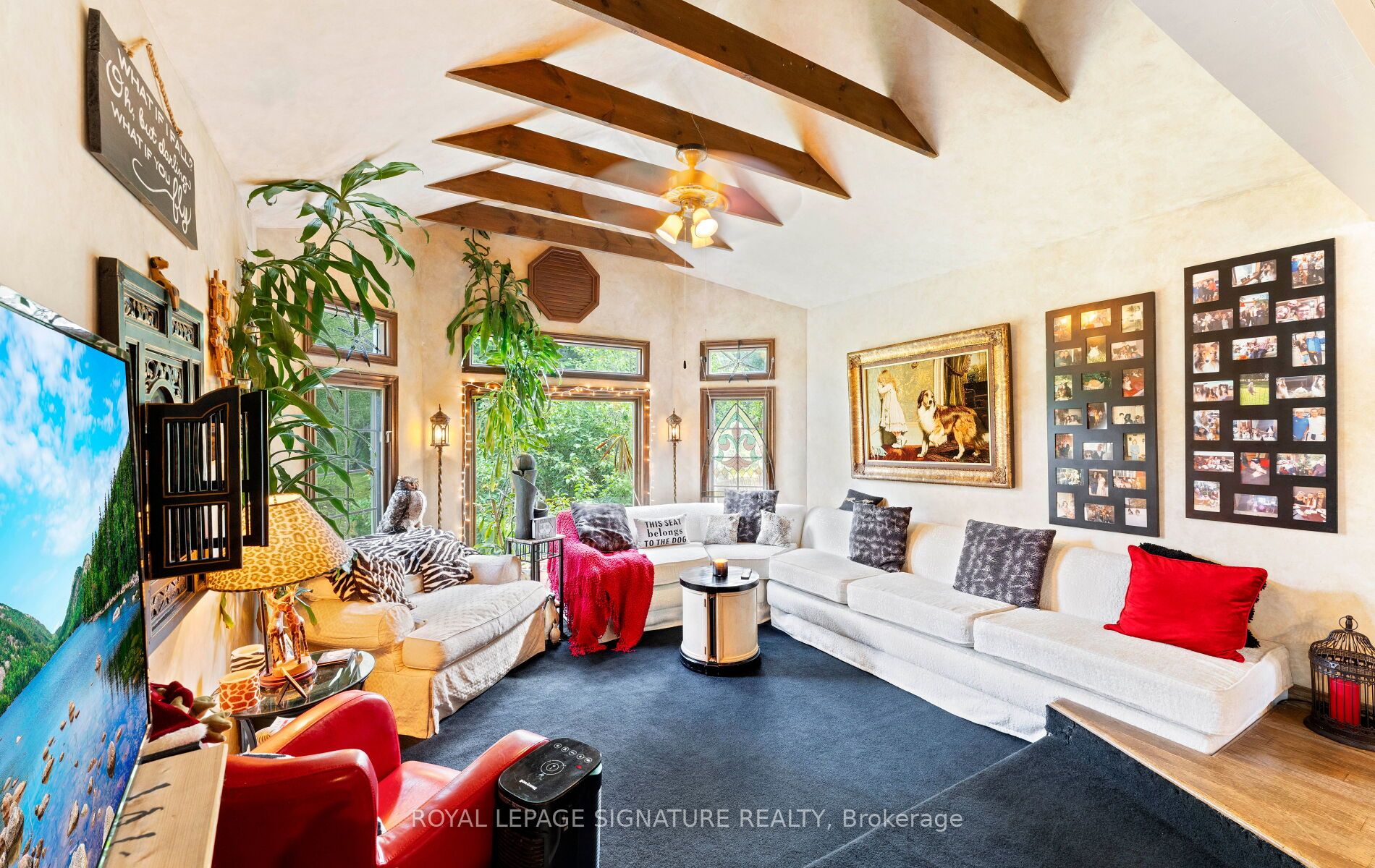 17 Mustard Street Property Photo 4