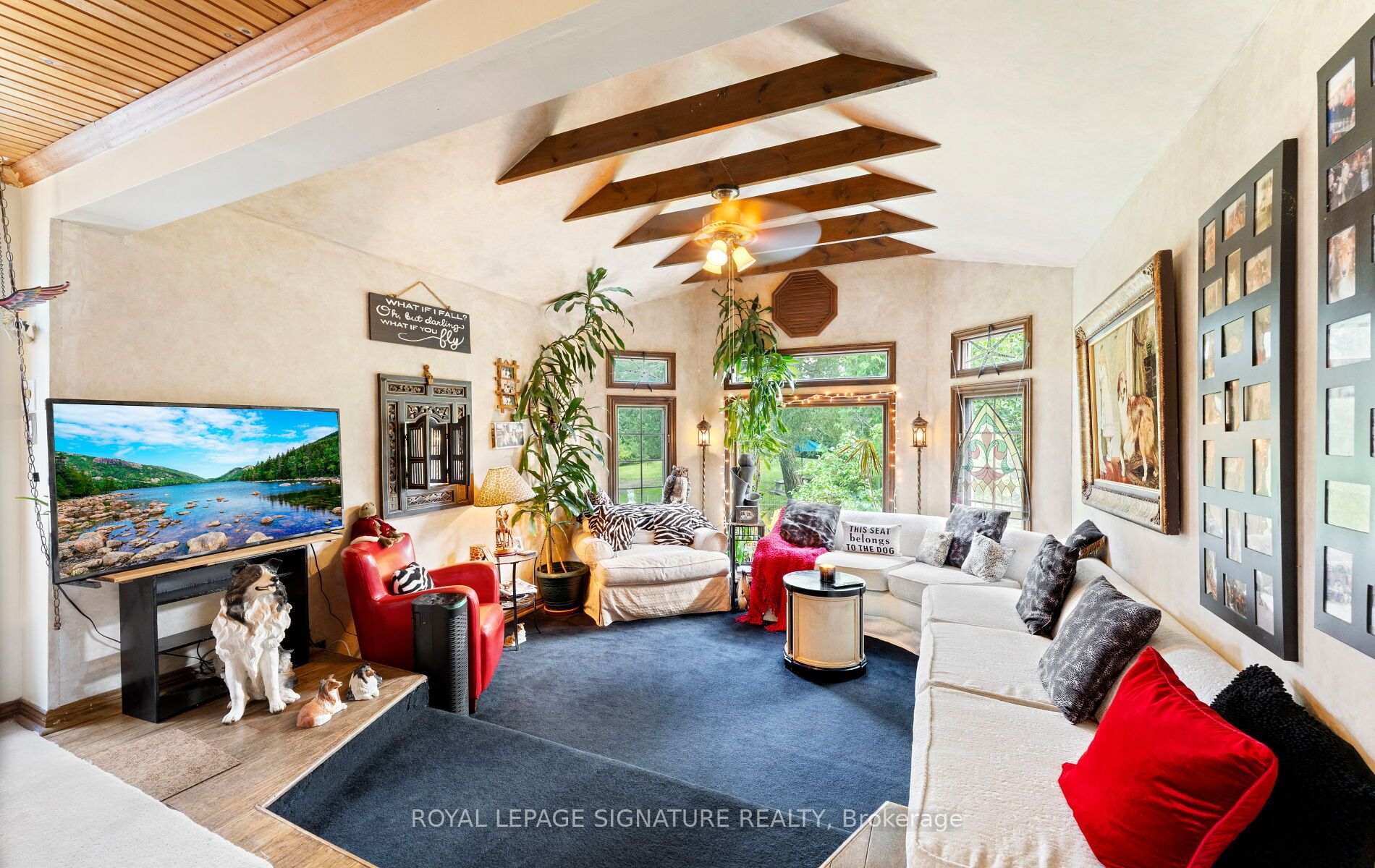 17 Mustard Street Property Photo 5