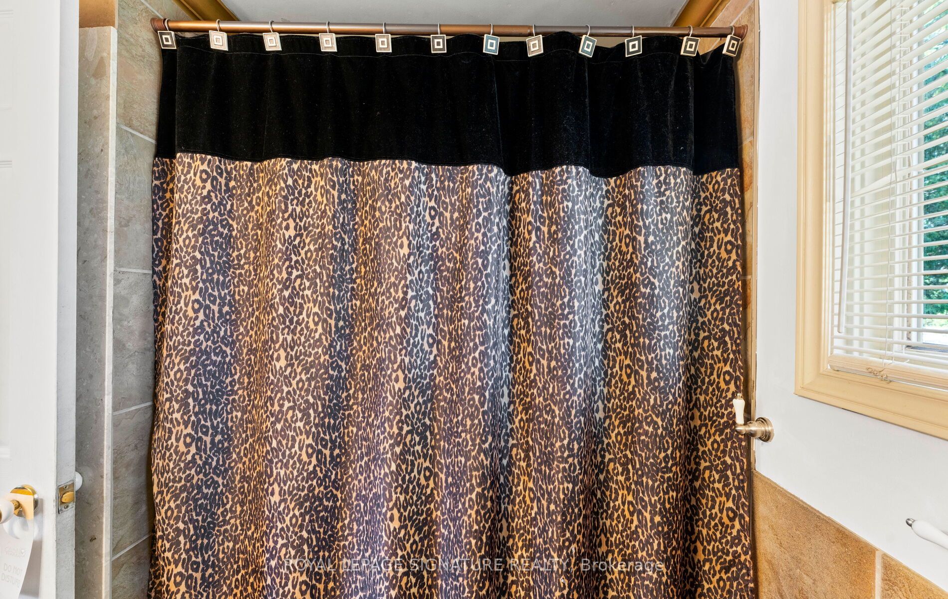 17 Mustard Street Property Photo 22