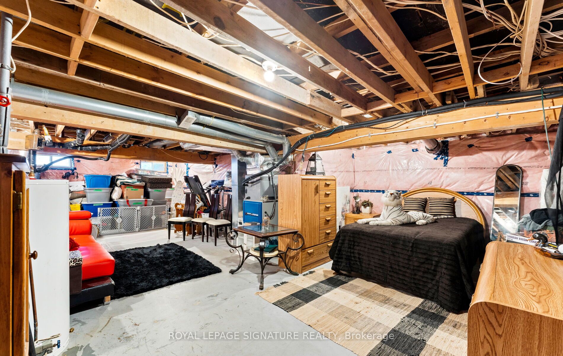 17 Mustard Street Property Photo 24