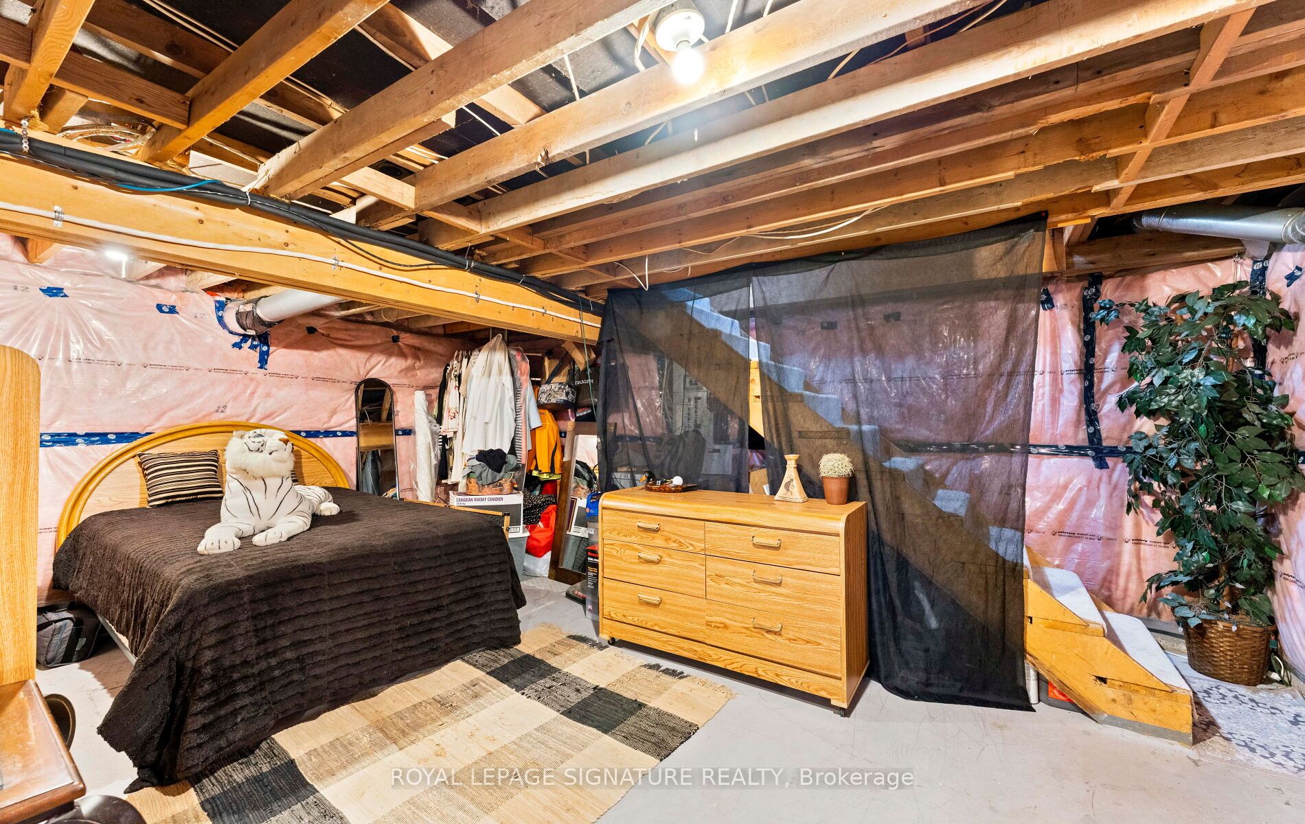 17 Mustard Street Property Photo 25