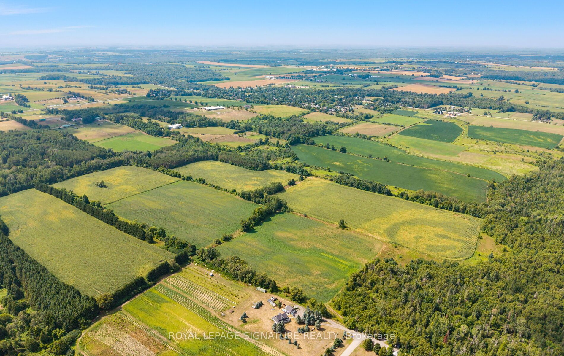 17 Mustard Street Property Photo 41