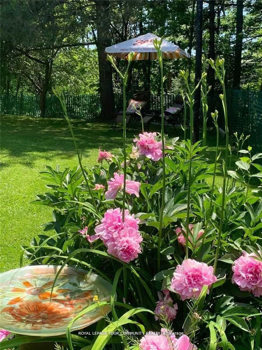 247 Harris Avenue Property Photo 29