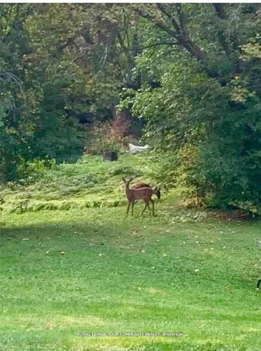 247 Harris Avenue Property Photo 32