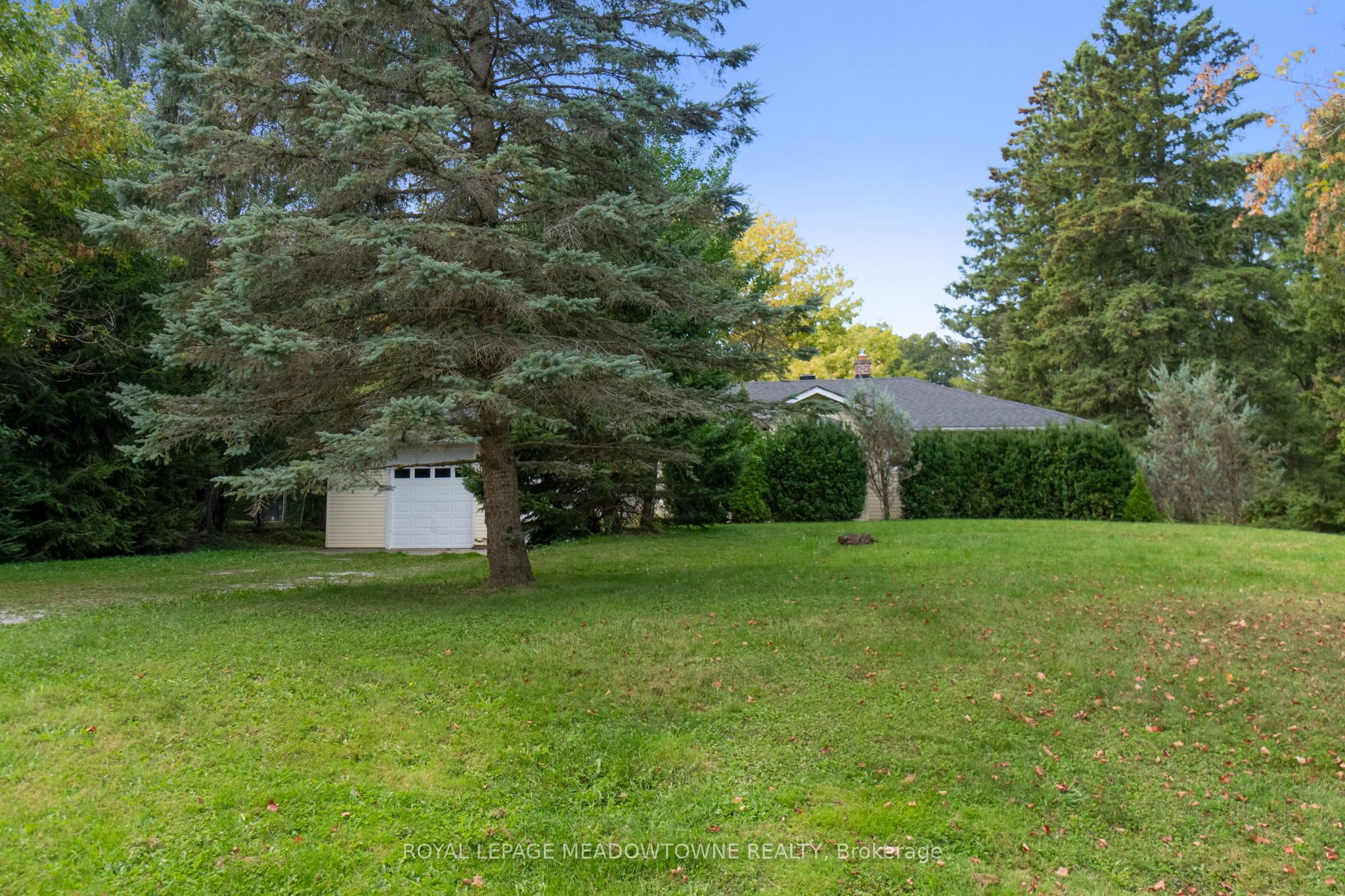 208 Martin Street Property Photo 9