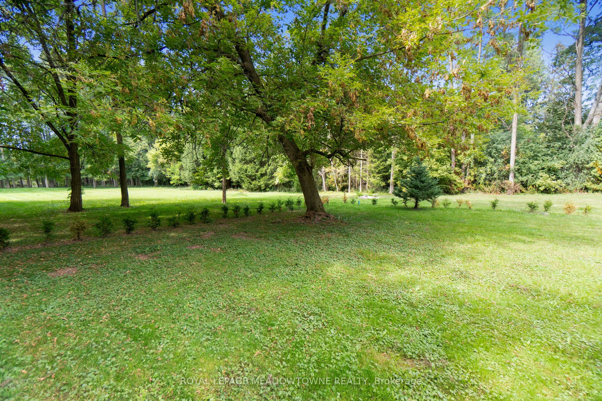 208 Martin Street Property Photo 34