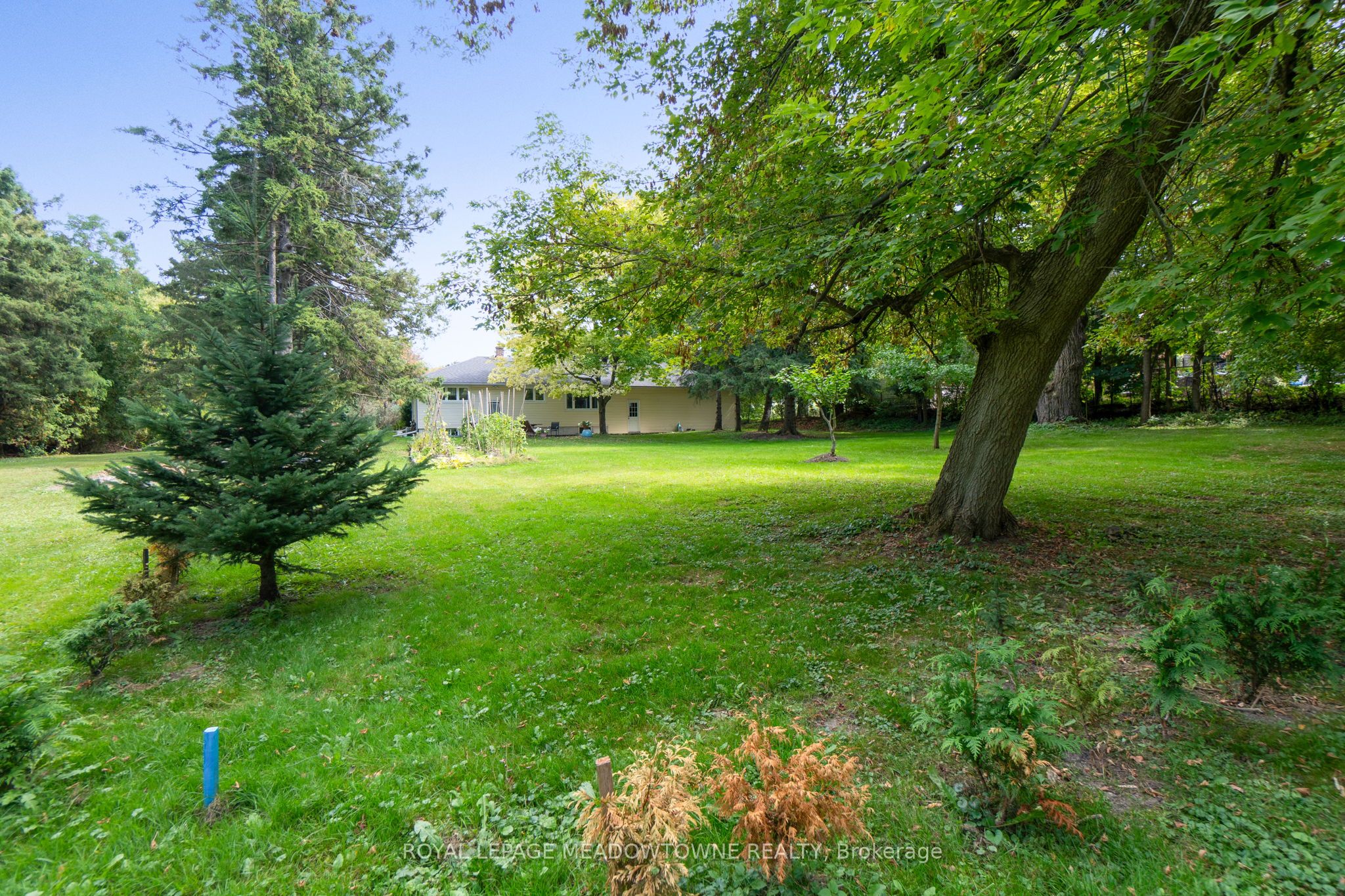 208 Martin Street Property Photo 36