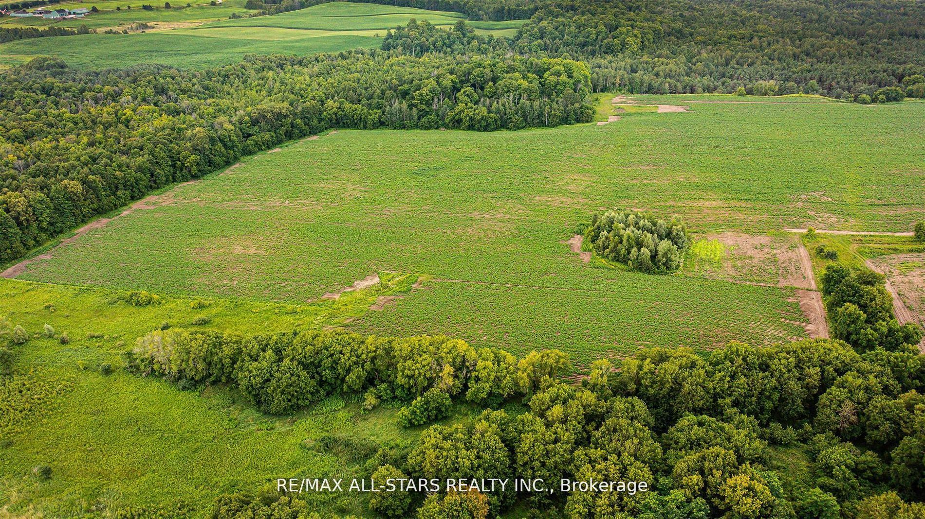 5669 Davis Drive Property Photo 4