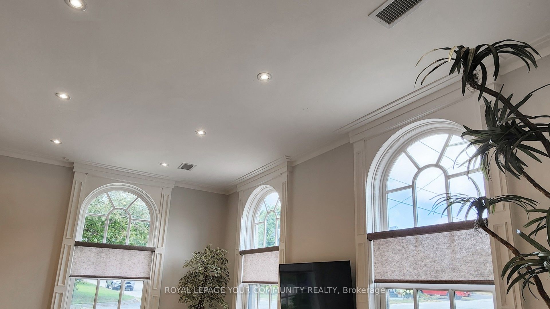 42 Somerville Street Property Photo 8